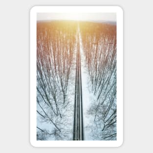 Road through winter forest Sticker